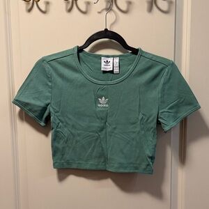 adidas Cropped Ribbed Tee in Sage Green